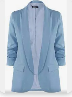 Ruched Sleeved Plain Blazer (5 Colours)